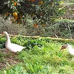 Apartman Soleluna